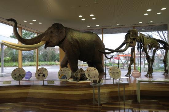 Toyama Science Museum